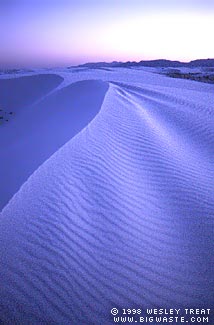 Man-Eating Dune