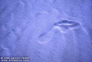 A Footprints-in-the-Sand Moment
